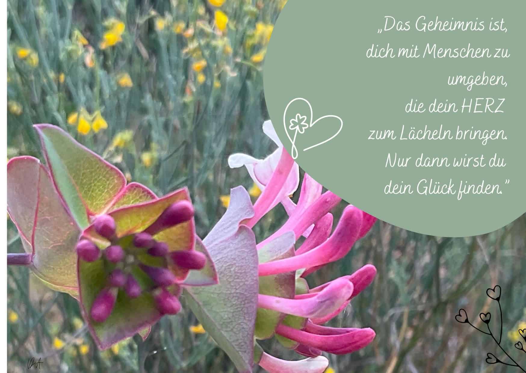 Bring dein Herz zum Lachen