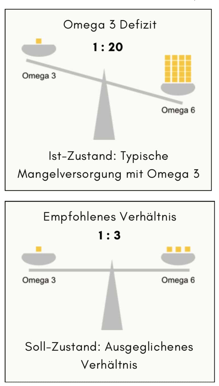 Defizit Omega 3 Omega 6 Verhältnis Ideal