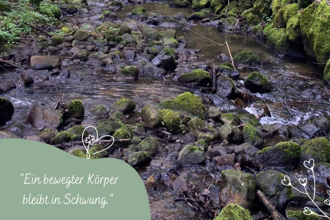 Vitalität-Belebter-Körper-Schwing