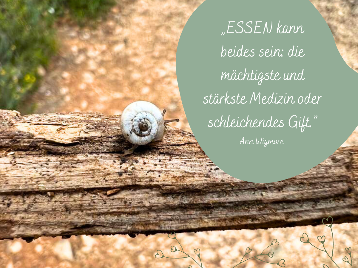 Vitalität-Essen-Medizin-Geschenk