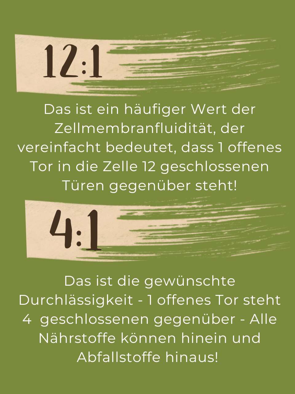 Zellmembranfluidität-Wert